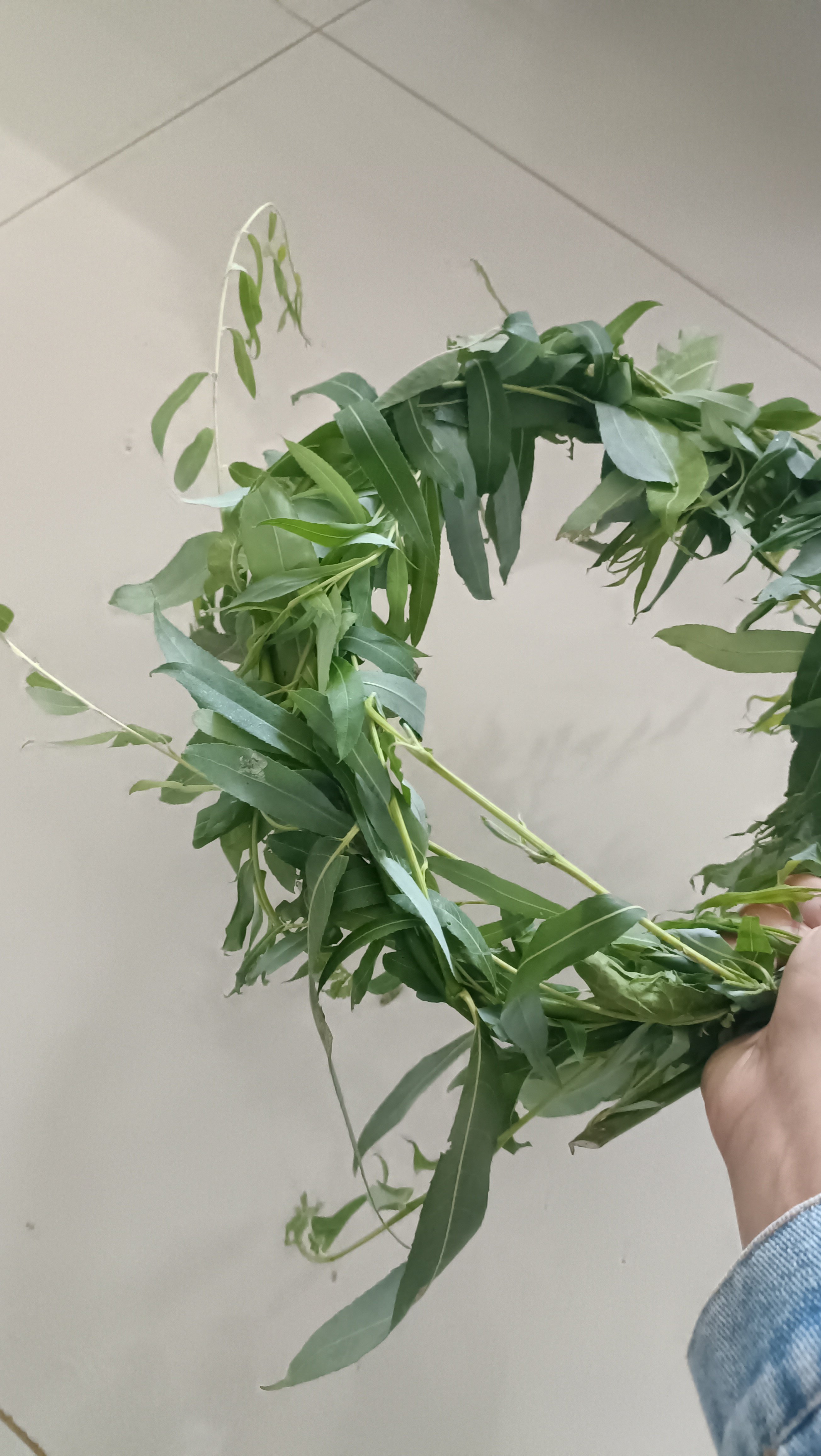 柳树枝条花环10条装现拍现发