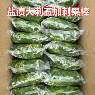 长白山野菜盐渍刺五加大菜刺果棒一斤每袋产地发货包邮