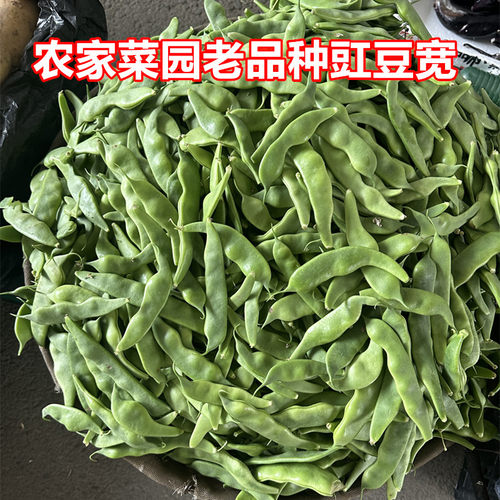 长白山农家菜园新鲜豆角豇豆宽