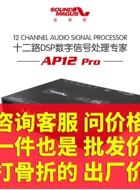 圣美歌 AP12 PRO 汽车DSP 31段EQ8进12出主动分频广州德乐包安装