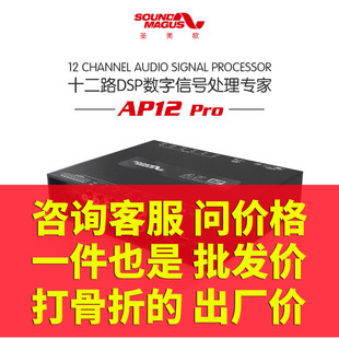 汽车DSP 圣美歌 PRO AP12 31段EQ8进12出主动分频广州德乐包安装