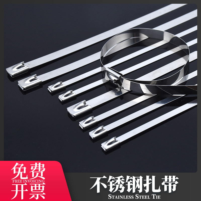 201不锈钢扎带4.6MM金属扎带室外电线桥架船用扎丝耐腐蚀自锁收紧,基础建材,缎带/扎带,淘宝优惠券,粉丝福利购,淘宝优惠卷