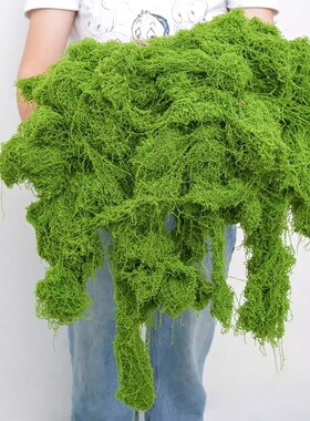 绿色苔藓干花手工diy材料包