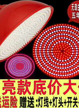led生鲜灯猪肉灯 海鲜灯卤菜熟食灯水果店吊灯超市蔬菜灯超亮专用
