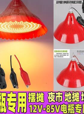 12V电瓶专用灯低压电瓶车48伏灯