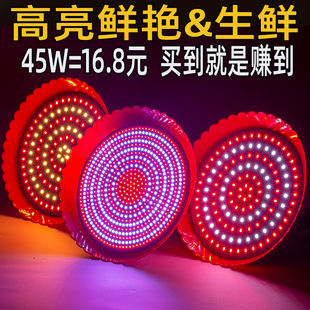 led生鲜猪肉灯卤菜卤肉熟食蔬菜水果店专用超市冷鲜肉海鲜灯超亮