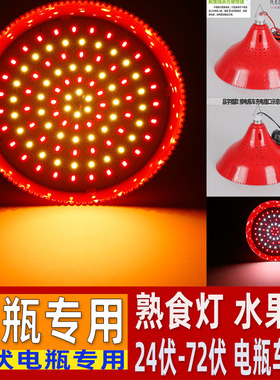 12V电瓶用熟食灯水果灯卤肉卤菜灯48v60V72伏电动三轮车低压led灯