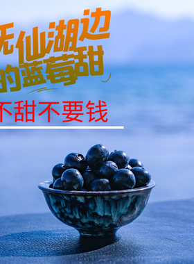 【顺丰空运】云南抚仙湖L11花香有机蓝莓新鲜特大脆纯甜当季水果