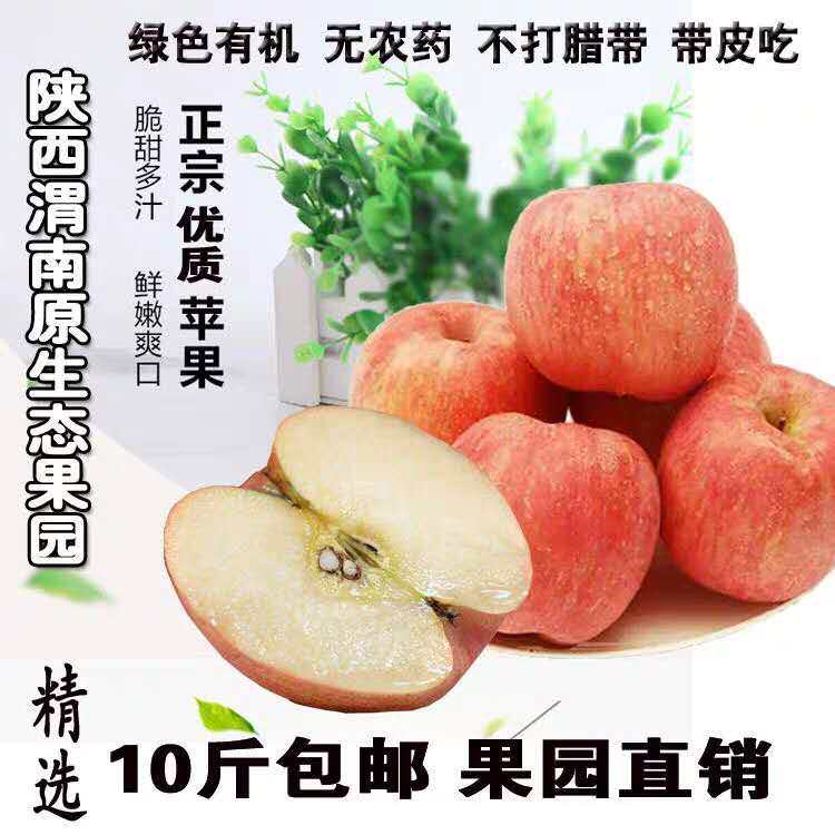 正进店就送】陕西红富士苹果冰糖心丑苹果当季新鲜平果水果整箱大