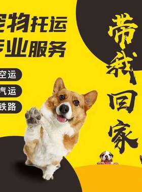 宠物犬猫全国宠物托运宠物犬猫