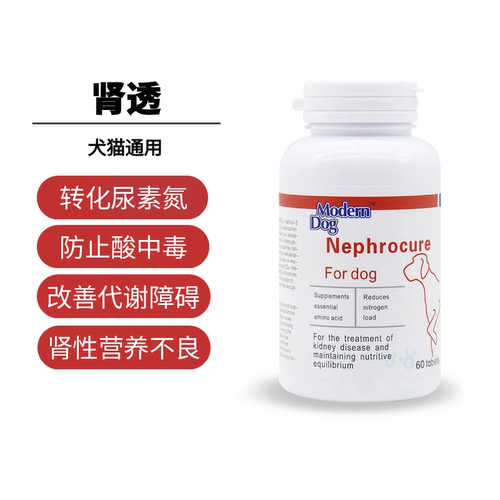 摩登狗肾透肾衰竭降肌酐犬猫通用
