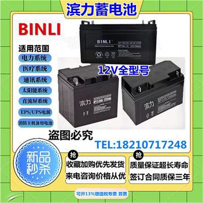 BINLI滨力蓄电池NP/MF/GFM12V5A7A12A17AH24A38A40A65AH100AH120A