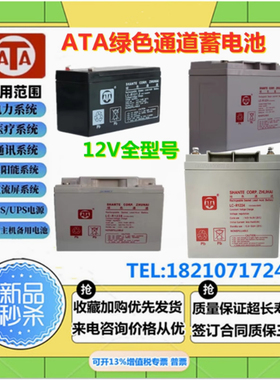 ATA绿色通道蓄电池LC-R1217 R127 R1224 R1238 R1265 R12100消防