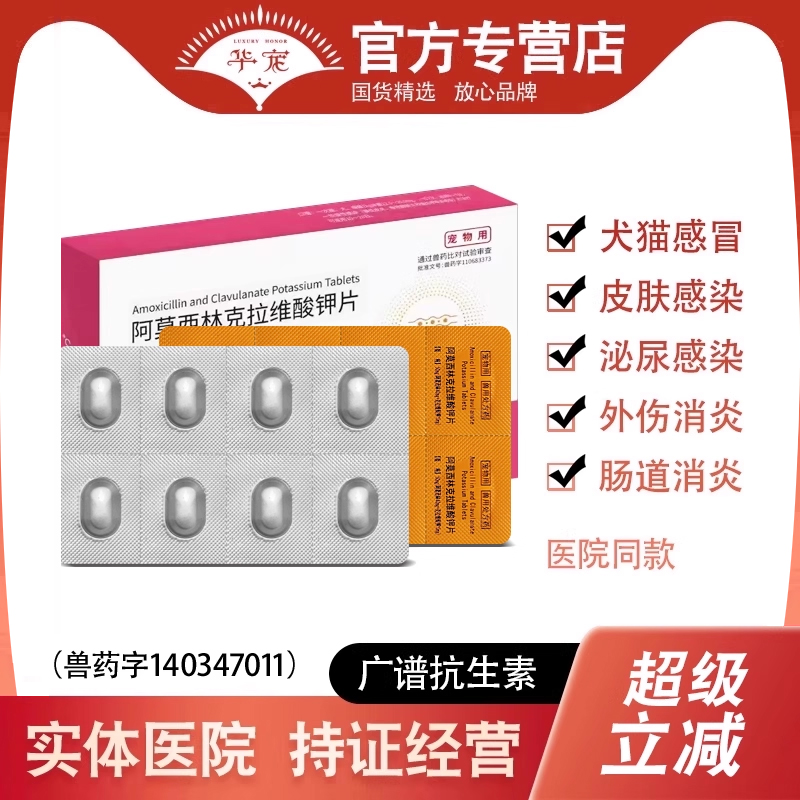阿莫西林犬猫消炎药感冒皮肤病