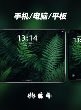 静谧森林暗绿色植物壁纸平板手机电脑iPhone安卓华为高清屏幕图