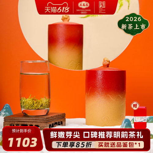 三万昌特级明前碧螺春礼盒250g 洞庭春茶鲜爽回甘高级茶叶