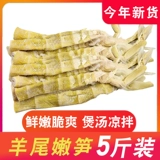 Ningbo Special Products Fenghua Sheep Bamboo Стреляет 5 кот из соли жареных бамбуко
