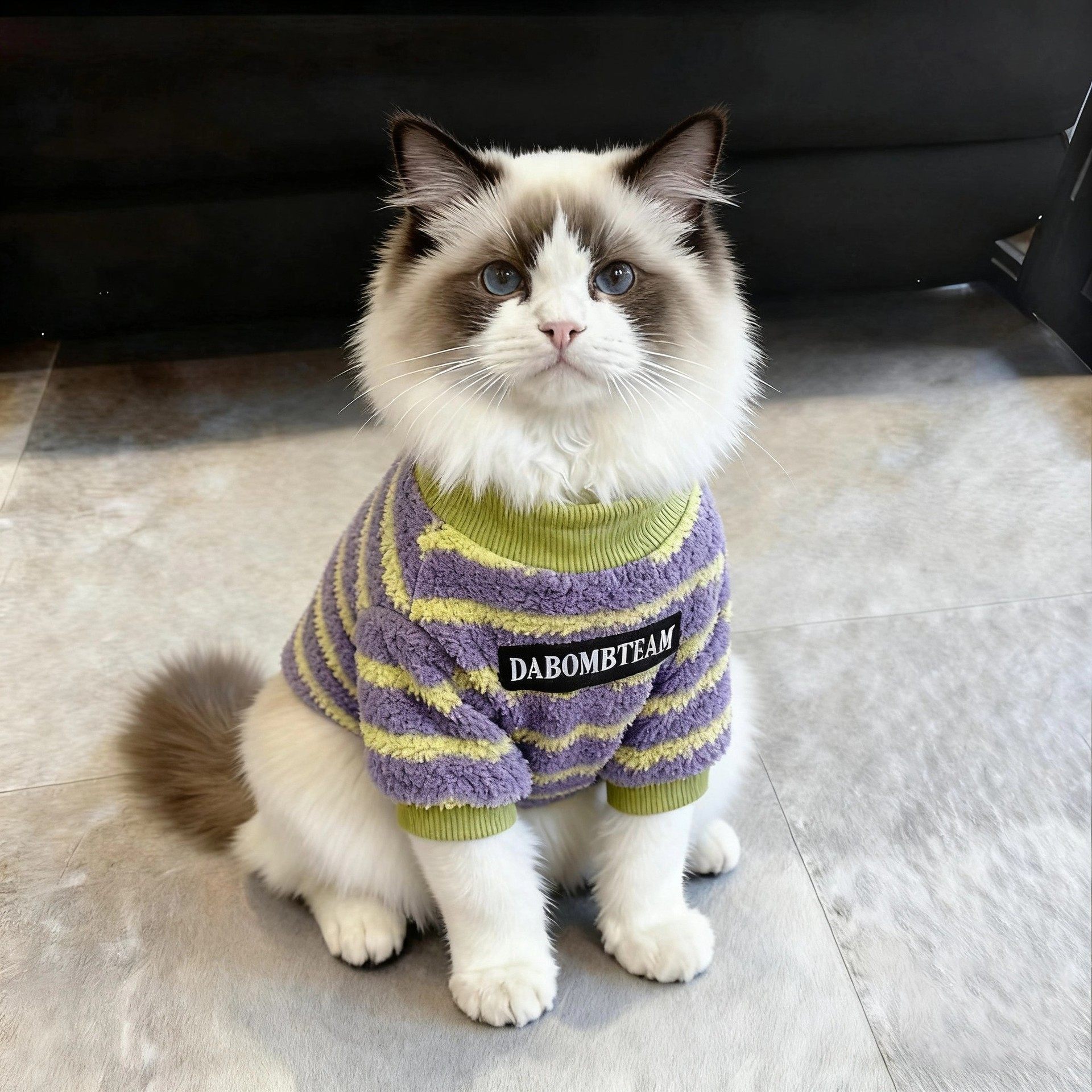 宠物猫咪衣服冬天季保暖加绒卫衣布偶小猫德文英短幼猫防寒两脚衣,宠物/宠物食品及用品,猫宠物服装/雨衣（新）,淘宝优惠券,粉丝福利购,淘宝优惠卷