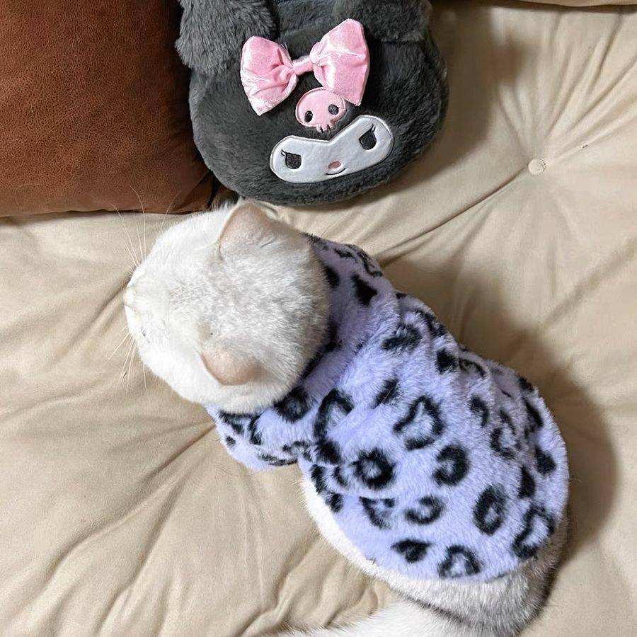 小猫咪衣服秋冬款紫色豹纹毛绒布偶英短蓝猫宠物加绒保暖卫衣冬装,宠物/宠物食品及用品,猫宠物服装/雨衣（新）,淘宝优惠券,粉丝福利购,淘宝优惠卷