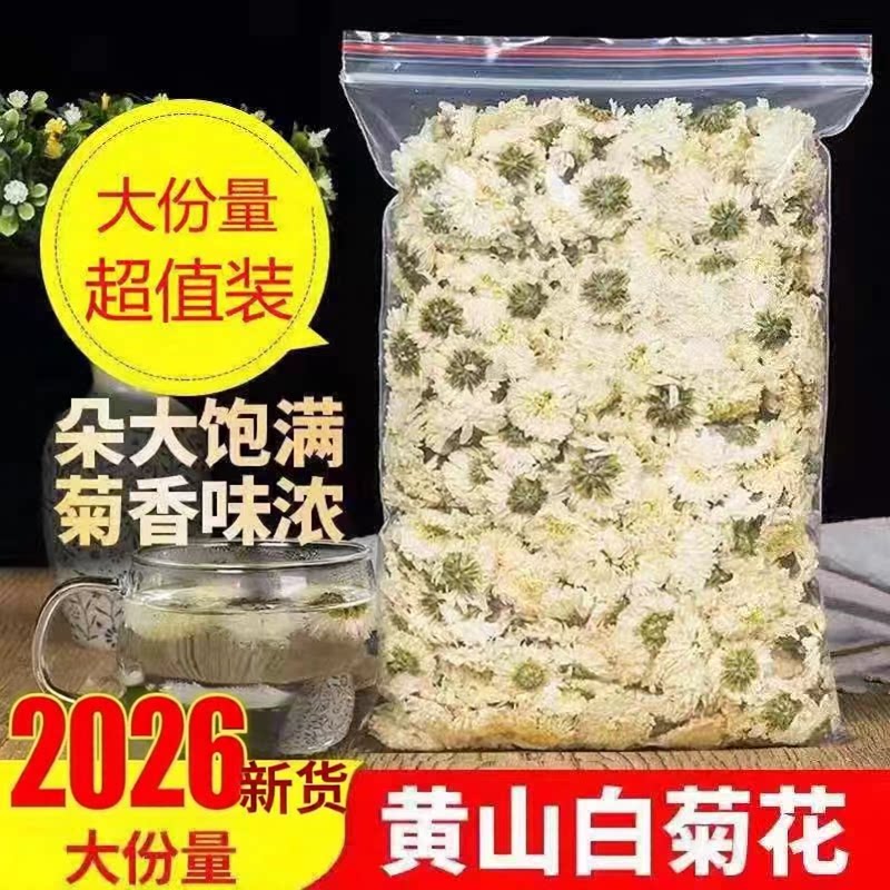 2026白菊花茶黄山菊花散装菊花茶另售白菊花茶胎菊花茶组合菊花茶