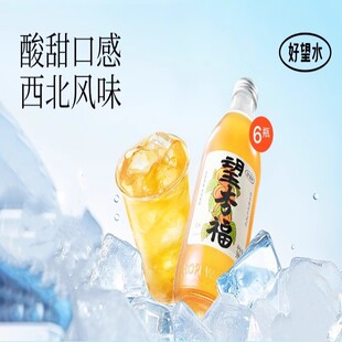 好望水望杏福果汁气泡水果味饮料饮品果汁饮料订婚伴手礼饮品