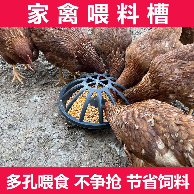 新款自动鸡鸭喂食器喂食槽散养鸡打不翻喂水喂食清洗方便喂鸡食槽
