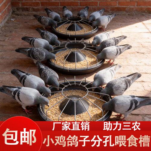 鹦鹉幼鸟自动下料防撒食盒