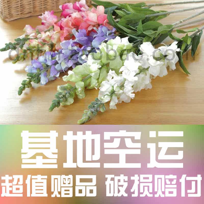 紫罗兰金鱼草鲜花10支【送保鲜液】鲜花每月每周一花 鲜花包月|msdalam kategori penghantaran bunga/bunga simulasi/tumbuhan berkebun, penghantaran bunga (bandar) - dari Buy2taobao.com untuk memberikan perkhidmatan ejen Taobao profesional membeli