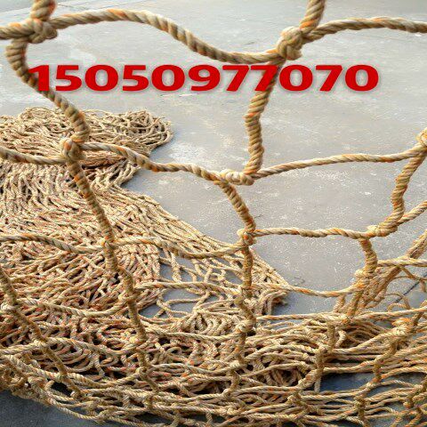 定做拉猪网围网10到15厘米网眼