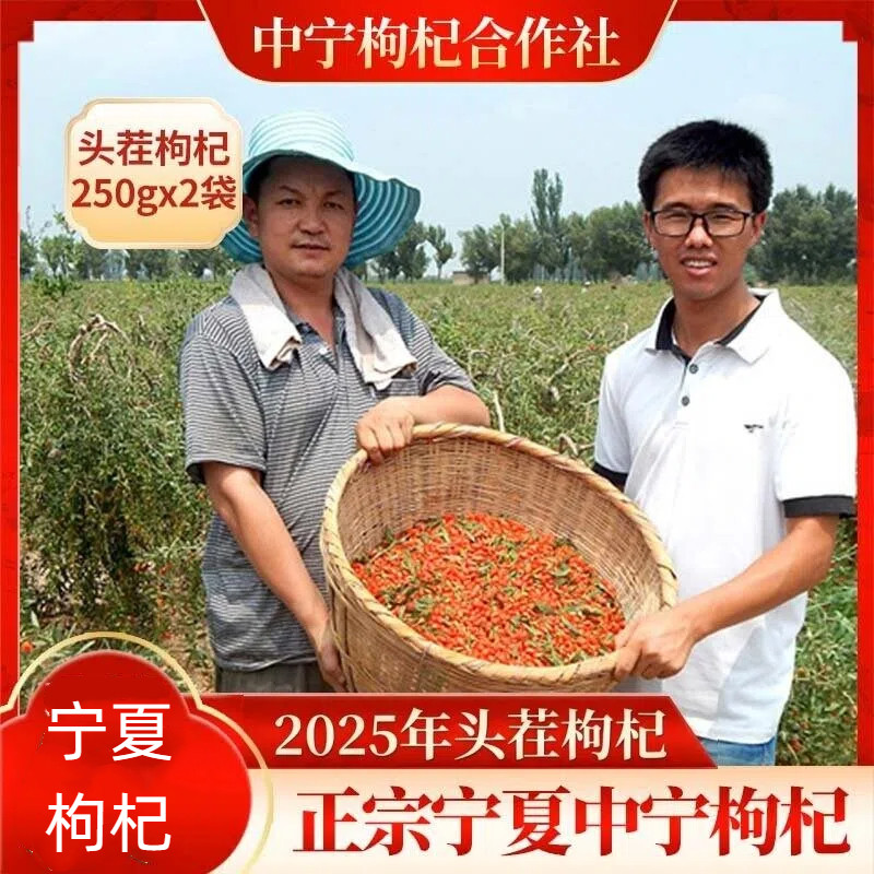 老农枸杞子宁夏优特级500g克天然苟杞子构杞免洗即食自然红纯