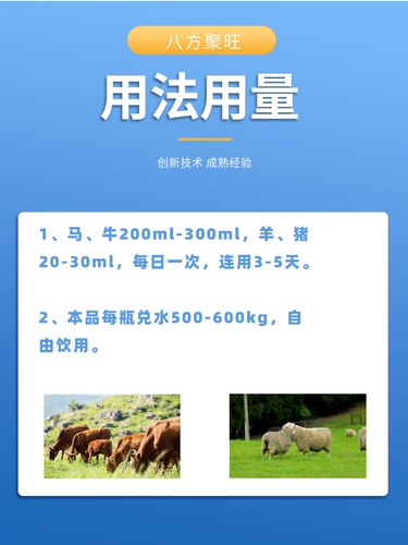 Свиной рогатый скот и овечья желудочно -кишечная мощность Перора