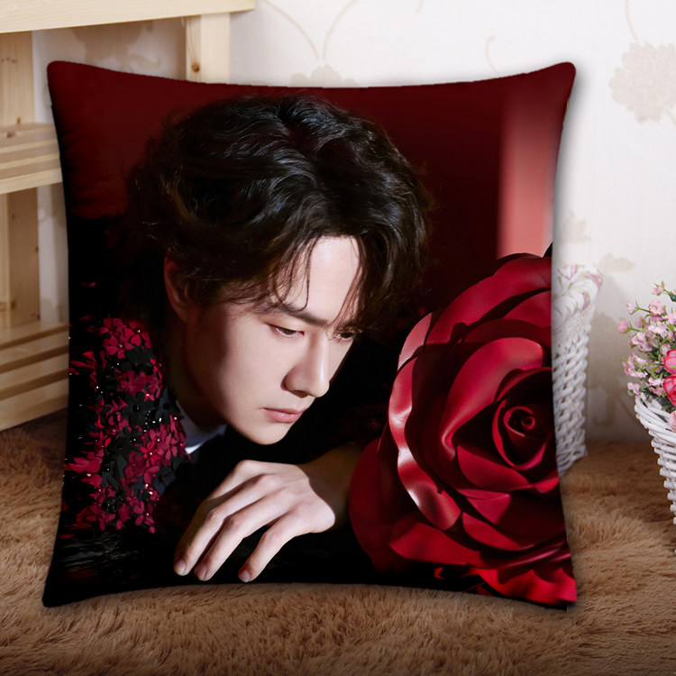 来图定制王一博方抱枕枕蓝湛办公腰垫午睡趴枕头沙发靠背新境周边