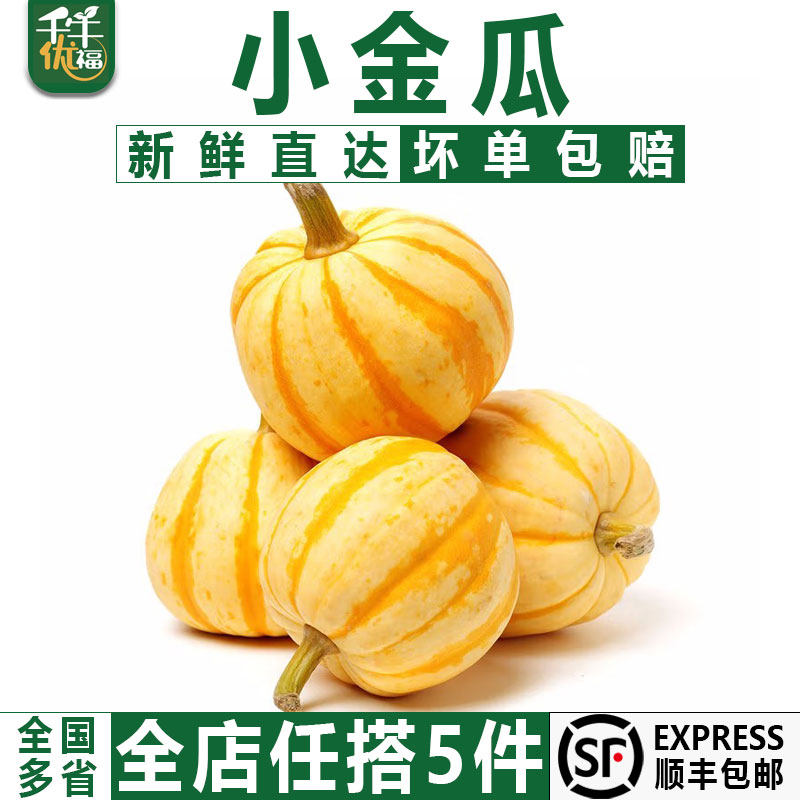 迷你小金瓜1个 金桔瓜酒店黄金贝贝南瓜盅雕刻观赏万圣节太阳果
