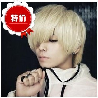 Perruque cheveux raides Court - Ref 2609975 Image 1