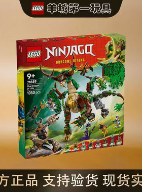 乐高71859生命源龙幻影忍者系列新品收藏男女孩拼搭积木玩具礼物