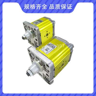 VIVOLO维沃尔意大利齿轮泵X2P4302ECBA/X2P4301ECBA液压泵VIVOIL