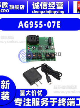 AG955-07E SELF-CONTAINED SM124 PROGRAMMER 编程器 仿真器