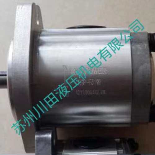 台湾REXPOWER锐力齿轮泵RGP-F202R-12 RGP-F203R-12 RGP-F204R-12