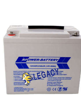 德国RPOWER蓄电池12V 2OPZS60LW 60AH钢厂项目 铁路照明系统电瓶