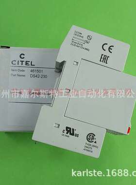 法国CITEL西岱尔DS42-230 防雷器浪涌保护器 原装  全新 欢迎咨询