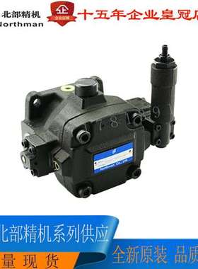 北部精机叶片泵 HVPVC-F30 F40-A2 A3 A4 A5-02 台湾Northman油泵