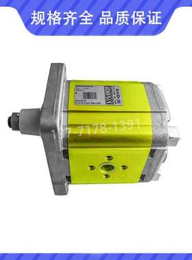 VIVOLO维沃尔意大利齿轮泵X2P5102ECBA/X2P5101ECBA液压泵VIVOIL