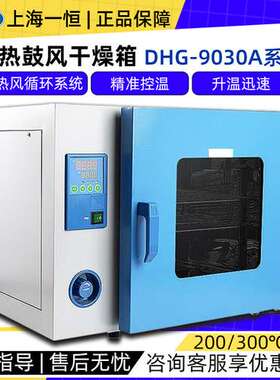上海一恒恒温干燥箱DHG-9030/9240A实验室小型烘箱电热鼓风干燥箱