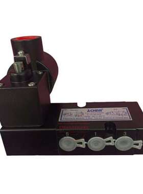 ACHEM气动电磁阀ALV510F3C5 ALV310F3C5 AlV310P1C5 ALV510P1C5