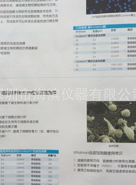 WHATMAN径迹蚀刻滤膜150445 13MM 5UM聚碳酸酯滤膜批发