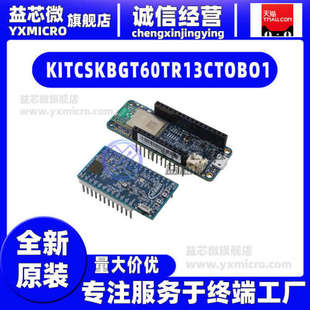KITCSKBGT60TR13CTOBO1 EVAL KIT FOR BGT60TR13C开发板 射频器
