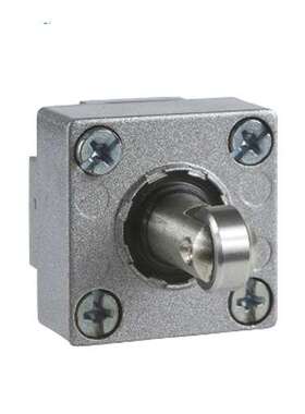 德国品牌原装正品 限位开关操作头/XCKJ系列ZCKE62C