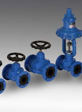 德国 DURHOLDT DUERHOLDT 软管阀 管夹阀 Typ 100.108 DN15-DN250