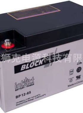 德国INTACT BLOCK-POWER蓄电池BP12-65深循环铅酸蓄电池12V65AH
