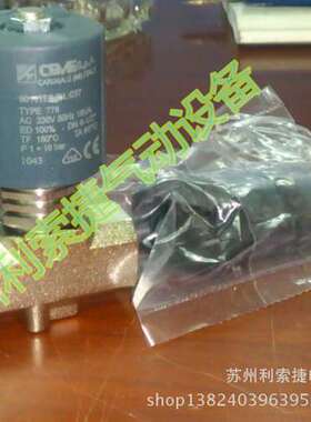 9013TE8.0N意大利进口CEME高温蒸汽电磁阀 9014TE8.0N电磁阀